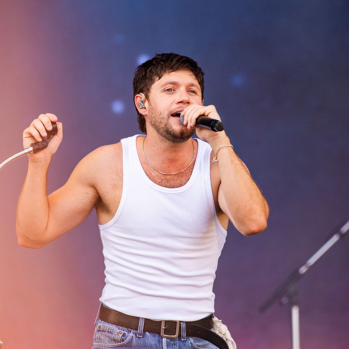 Niall Horan revela cómo la muerte de Liam Payne inspiró su canción "End of an Era": "Fue muy surrealista"
