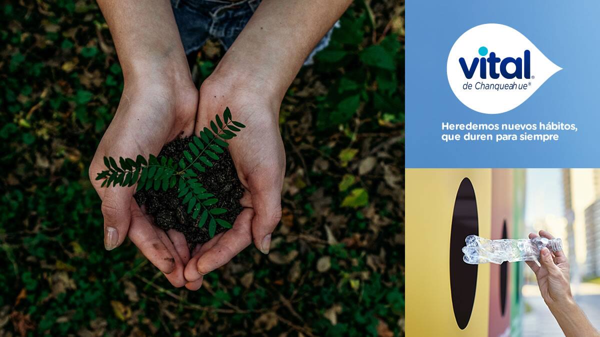 El momento es ahora: Vital y su compromiso con el medio ambiente