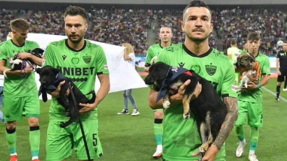 Golazo: Futbolistas rumanos salen a la cancha con perritos para incentivar la adopción