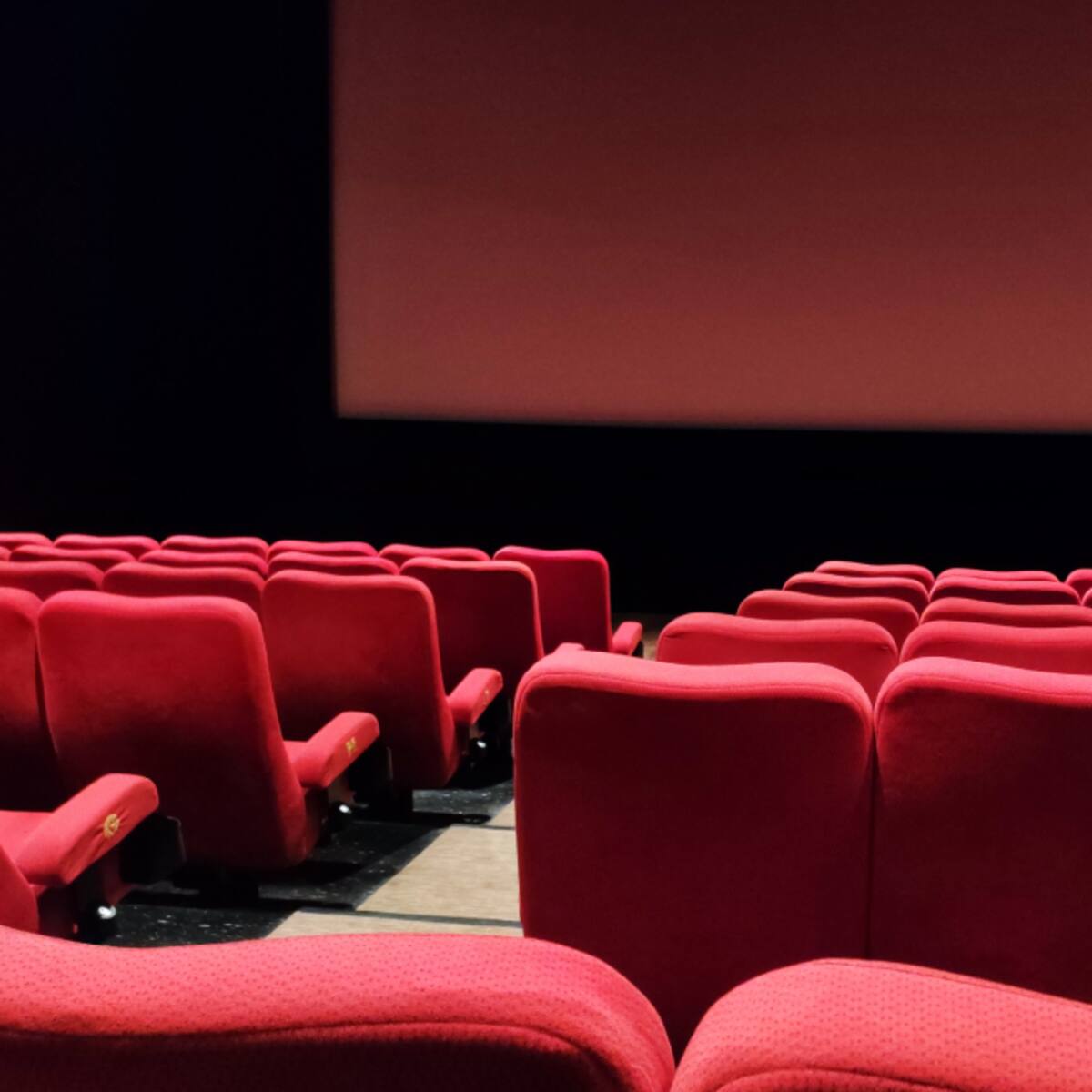 Día del Cine en Chile 2023: Estas son las películas que puedes ver por 2 mil pesos