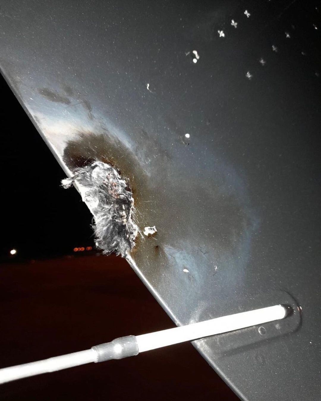 @mileycyrus en Instagram