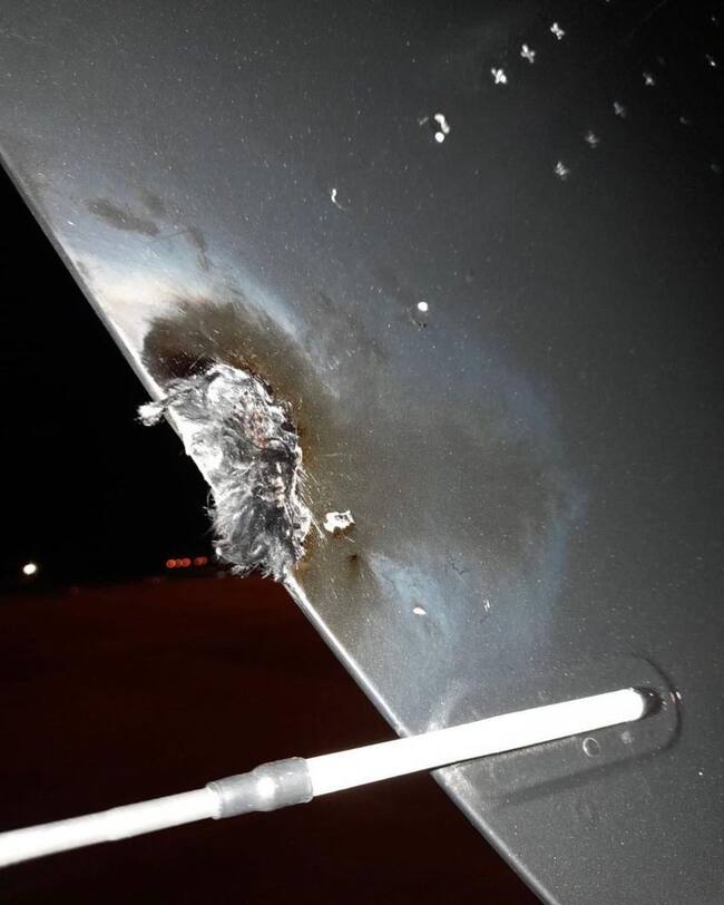 @mileycyrus en Instagram