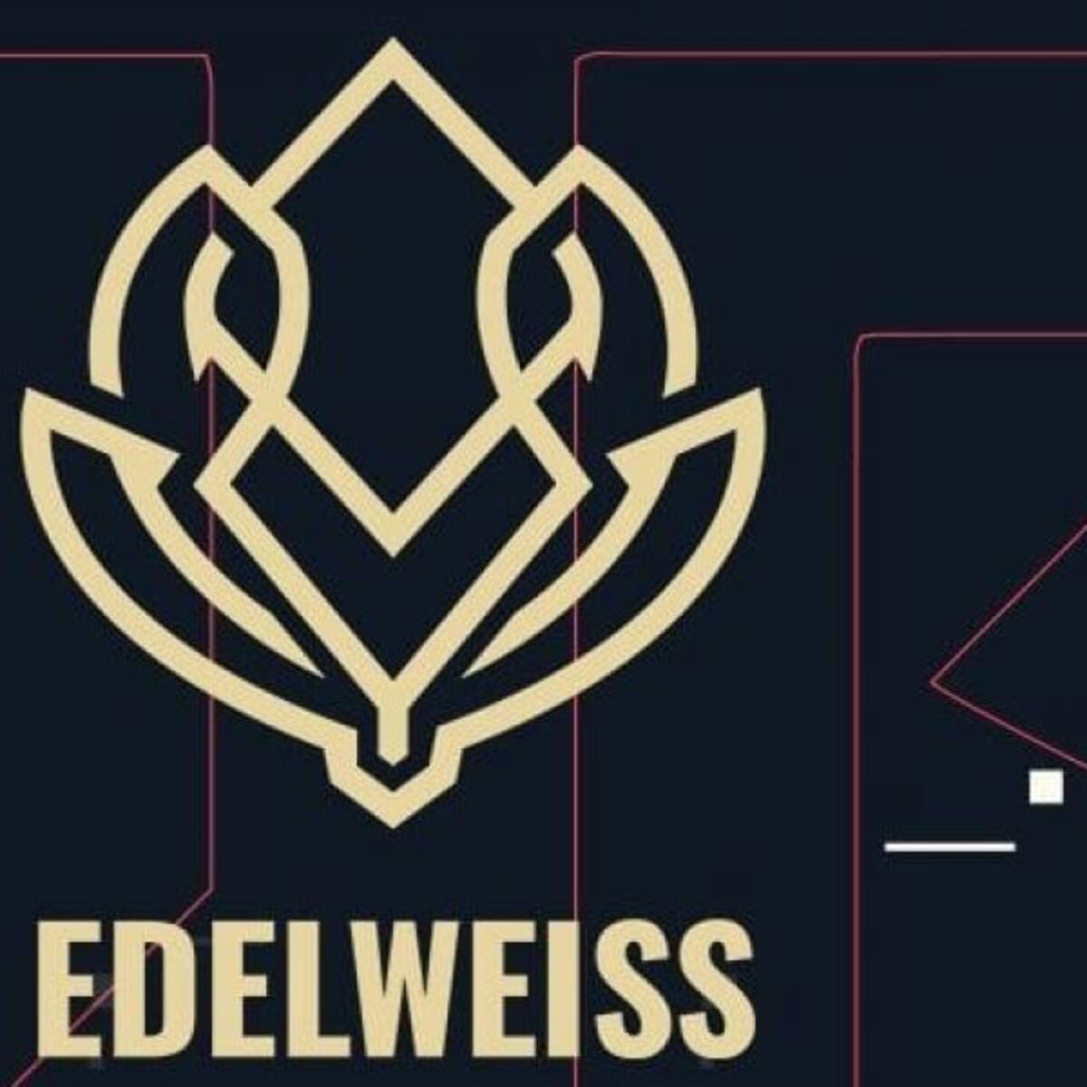 ¡Conversamos con las CEO de Edelweiss eSports!