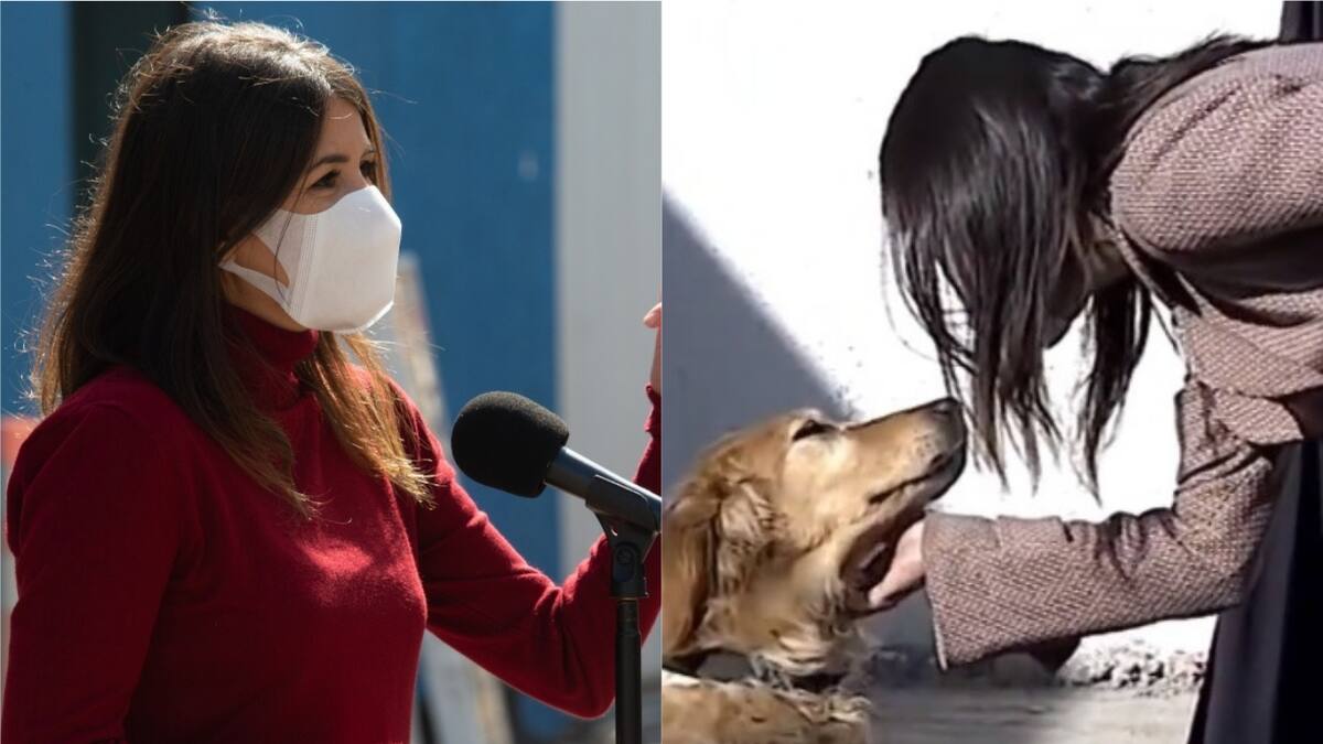 Subsecretaria Martorell se quedó «pegada» haciéndole cariñito a perrita del OS7