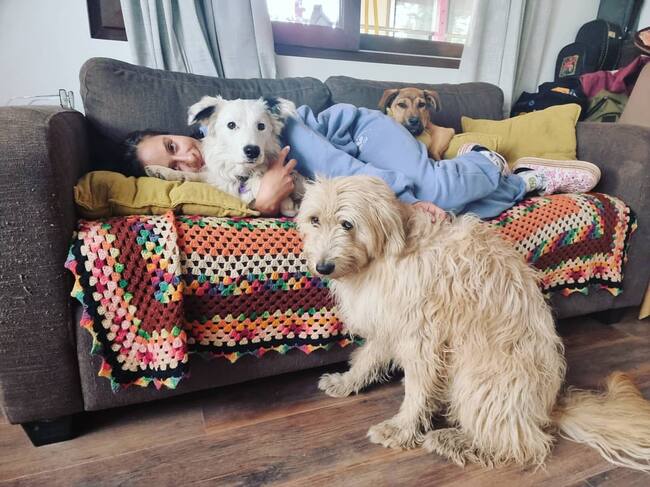 Instagram: @deniserosenthal