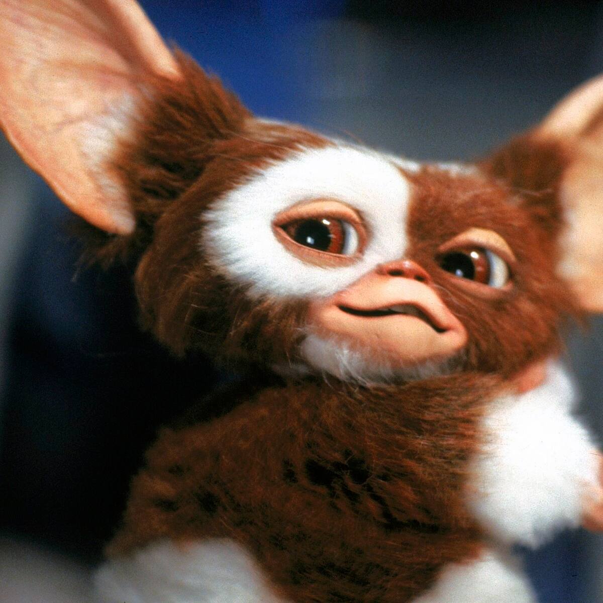 La espera por "Gremlins 3" se alarga: Warner Bros. retrasa su llegada a los cines y fija nueva fecha