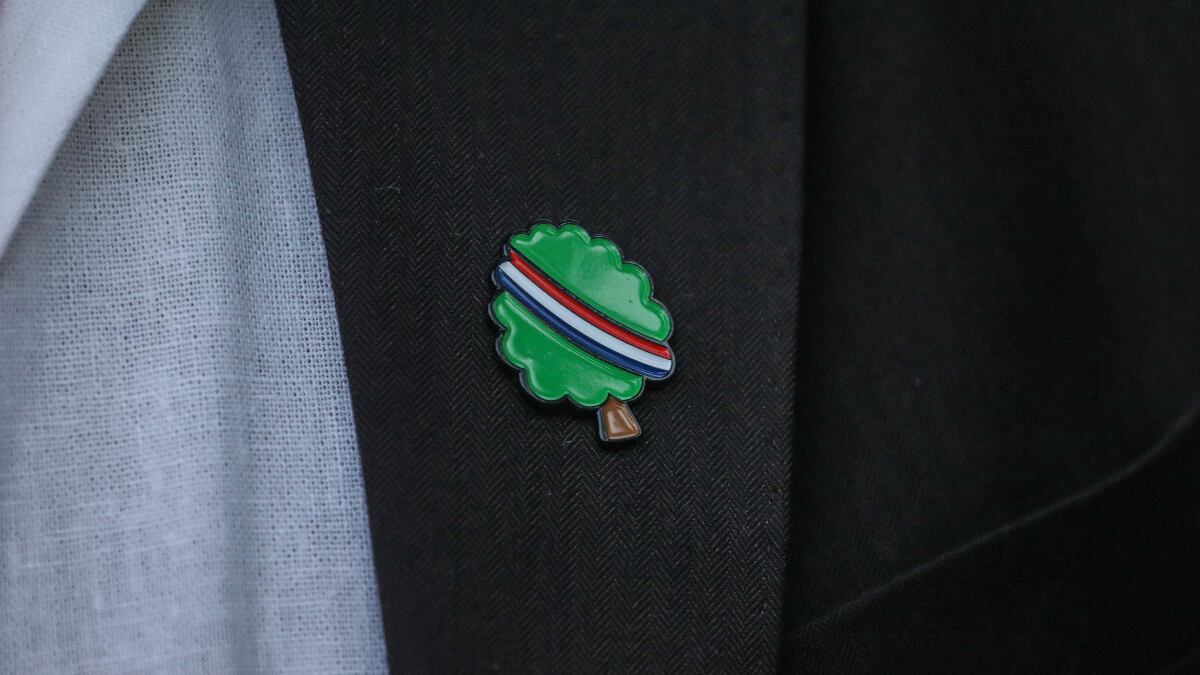 Pin del «árbol de Boric». Agencia Uno.