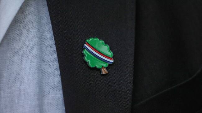 Pin del «árbol de Boric». Agencia Uno.