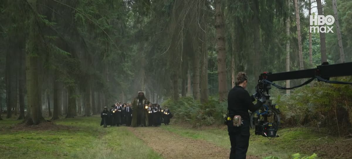 CL - "En busca de Harry"