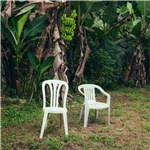 NuevaYol