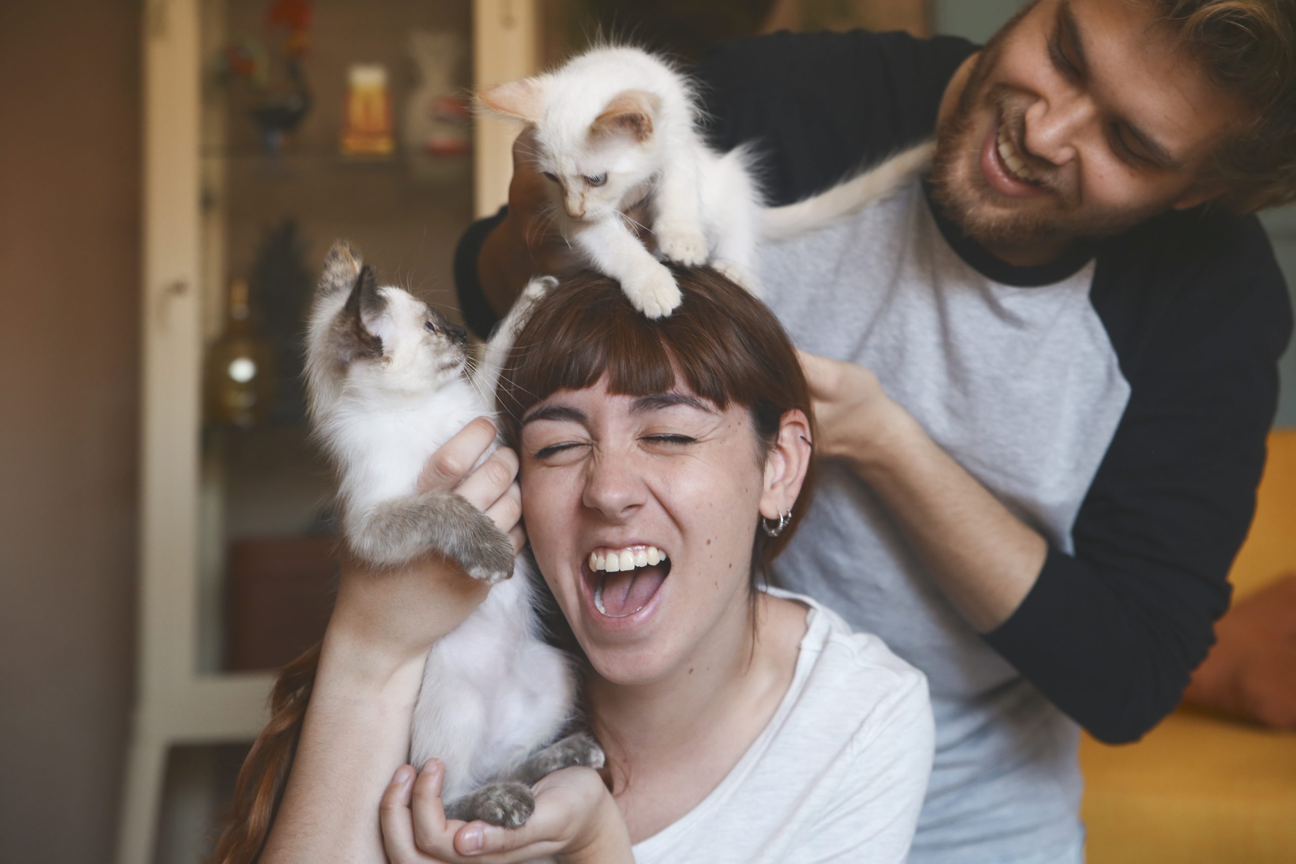 Young Couple With Kittens At Home