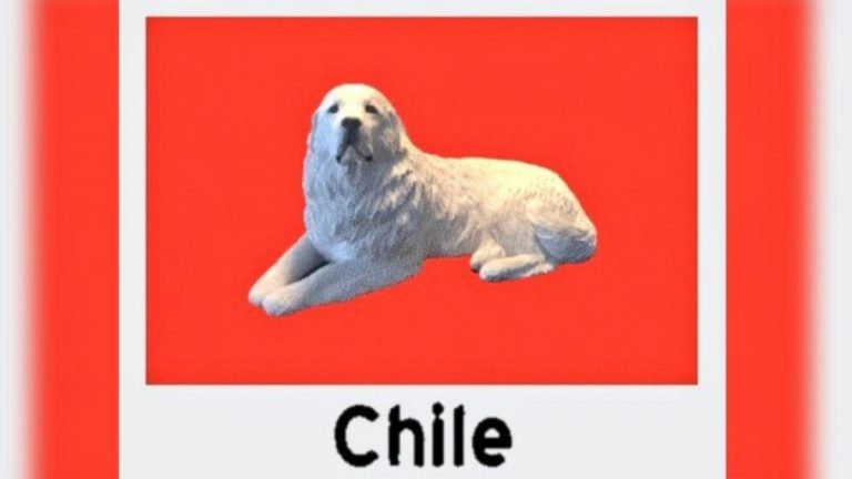 Bandera Chile Perrito