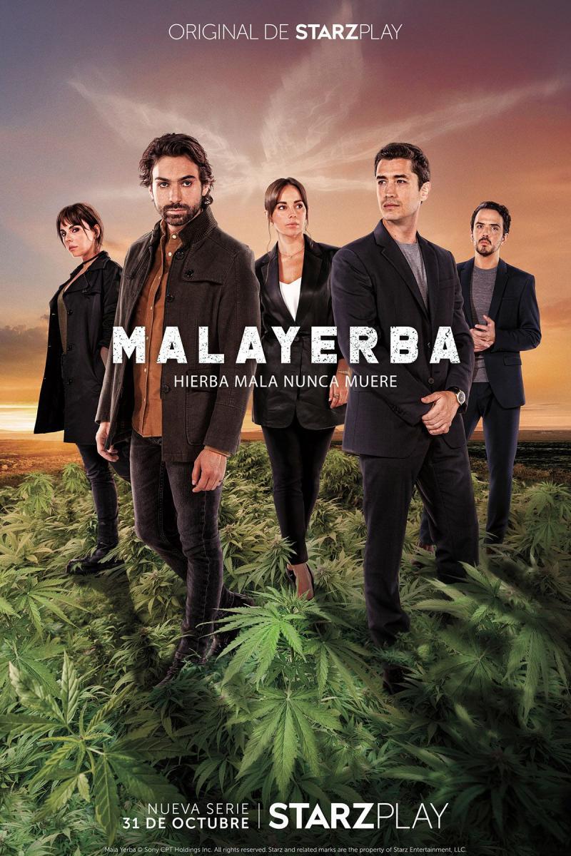 Malayerba_Serie_de_TV 110527937 Large