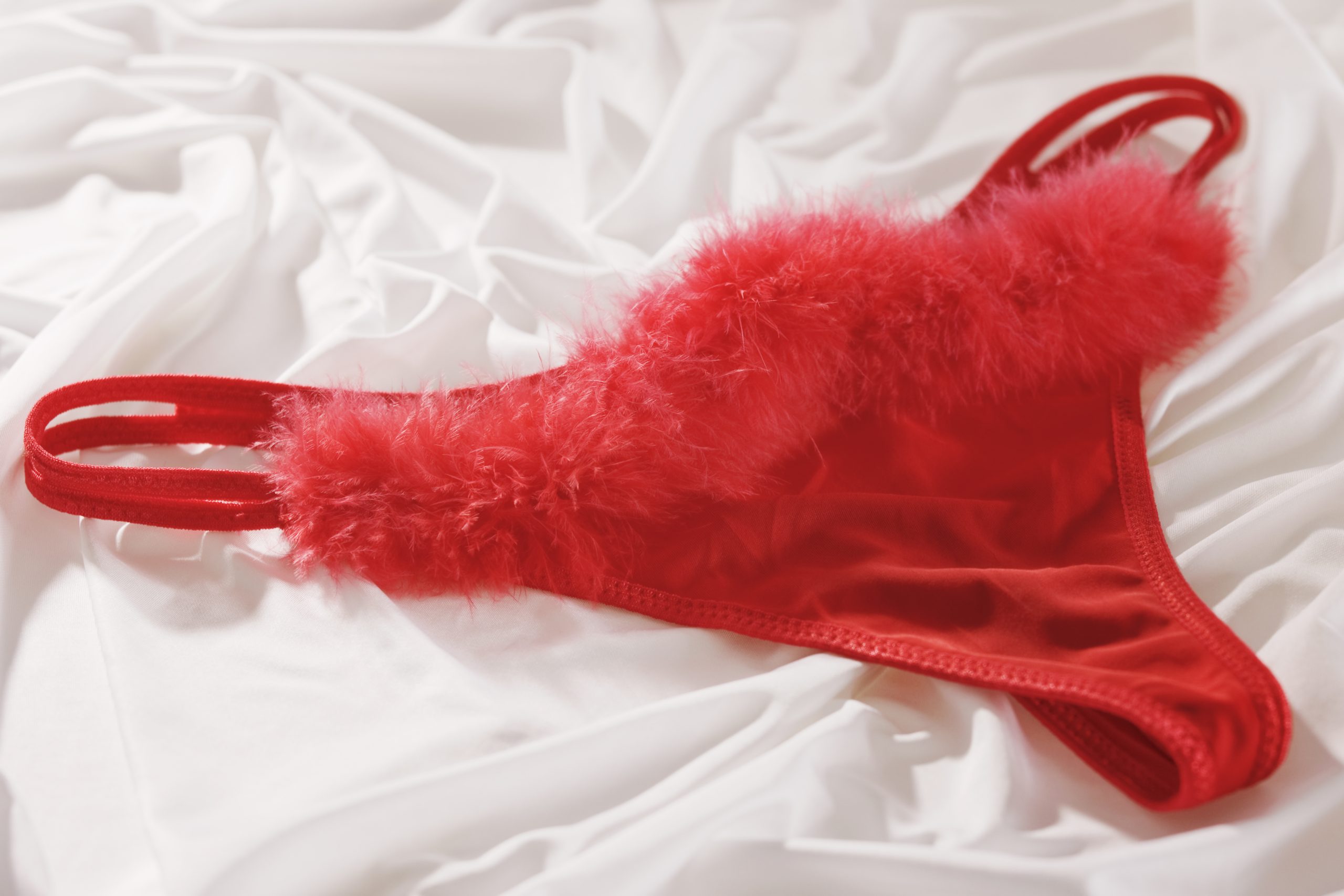 Red Ladies Underwear With Feather Detail, Against White Background