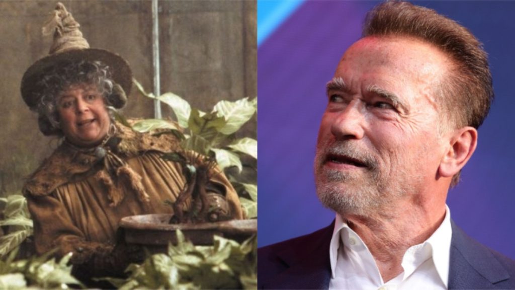 Profesora Harry Potter Arnold Schwarzenegger